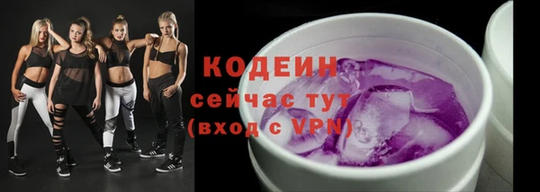 гашик Лабытнанги