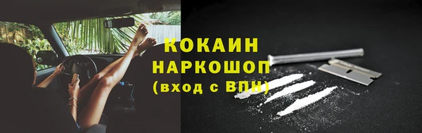 гашик Лабытнанги